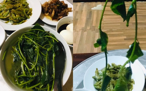 Vợ đi làm chồng ở nhà nấu cơm, nói là có món "mồng tơi dễ gắp" nhưng ai ngờ khi lên mâm cô vợ lại suýt ngất vì hình thù kỳ lạ của món ăn 