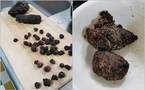Pha nặn trân châu nấu trà sữa đi vào lòng người, vừa cứng queo, lại mang màu sắc hình thù "nhạy cảm" khiến ai cũng giật mình
