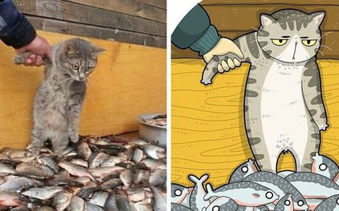 Khi những chú mèo meme được họa lại theo phong cách hoạt hình siêu cute, đốn tim từ ảnh đầu luôn