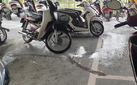 Hà Nội: Mùi hôi thối từ đường nước thải chảy xuống tầng hầm để xe