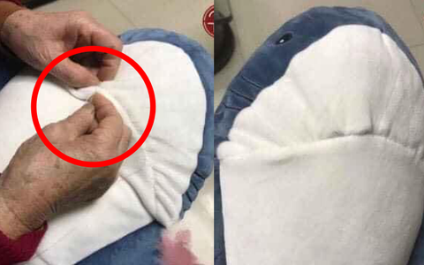 Thấy cá mập bông có hàm răng dữ tợn, bà nội đã làm một việc để bảo vệ cháu nhưng lại khiến ai cũng phải sững sờ