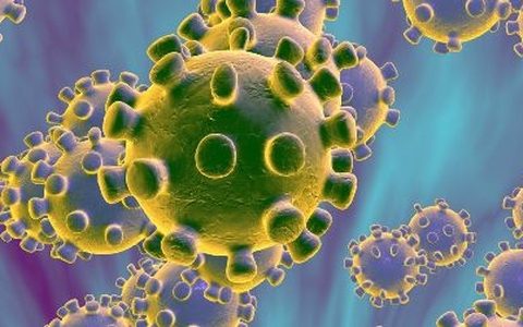 Nhà virus học Nga chỉ ra cơ chế lây nhiễm “đặc biệt” của Coronavirus