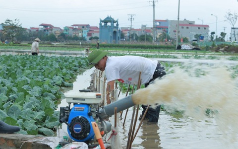 Hà Nội: Trận mưa lúc rạng sáng nhấn chìm nhiều ruộng rau, người dân vừa huy động máy bơm nước vừa tất bật thu hoạch vớt vát tài sản