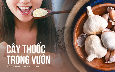 Tăng cường miễn dịch, chữa bệnh cho trẻ bằng thứ gia vị trong bếp nhà nào cũng có