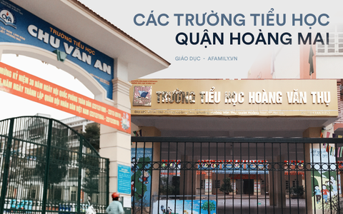 Chuẩn bị đến mùa tuyển sinh lớp 1, điểm lại danh sách 21 trường tiểu học ở quận Hoàng Mai giúp cha mẹ dễ dàng lựa chọn