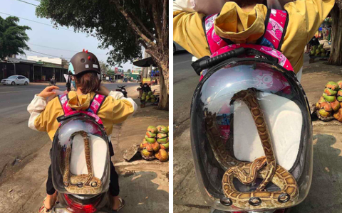 Cô gái hồn nhiên đeo balo hồng đi dạo phố, nào ngờ nhìn kỹ mới thấy hóa ra là "bé Na" khiến nhiều người không khỏi giật mình