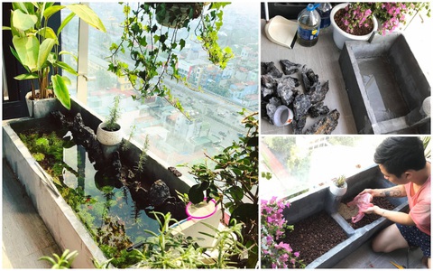 Có ngay bể cá siêu đẹp cho những ngày ở nhà thảnh thơi đọc sách chỉ bằng 2 thùng xốp cùng hướng dẫn đơn giản của ông chồng quốc dân Hà Nội