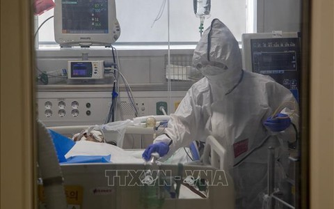 Chuyên gia Hàn Quốc bác khả năng bệnh nhân COVID-19 tái nhiễm sau khi bình phục