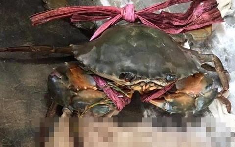 Tốn không ít tiền mua cua biển, anh chàng lại "cạch không ăn" khi mục sở thị chiếc dây buộc kinh dị