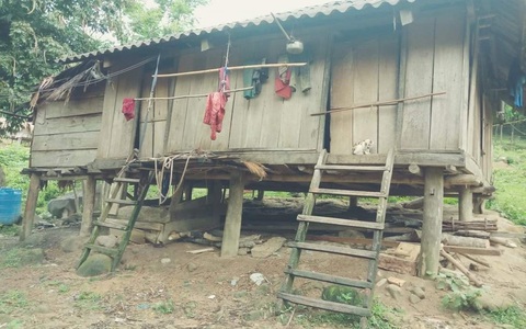 Sau khi xem ti vi, 20 người Mày bỏ nhà vào rừng trốn COVID-19
