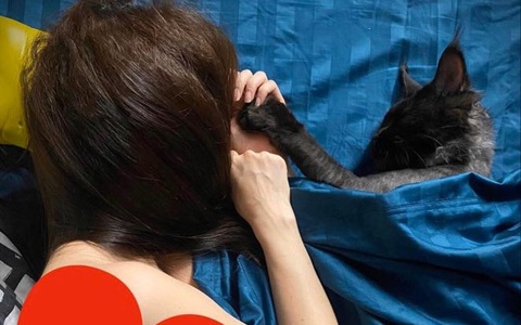 Trấn Thành nổi giận vì bị "nhân vật đặc biệt" này chiếm chỗ ngủ cạnh bà xã Hari Won