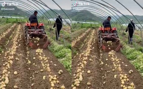 Bị đồn sang Hàn "việc nhẹ lương cao, tháng kiếm vài chục củ", chàng trai đáp trả vừa hài vừa thâm sâu ai cũng cảm thông