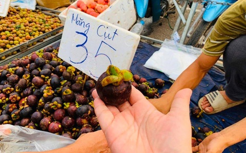 Măng cụt Thái giá 30.000 đồng/kg bán bạt ngàn ở chợ đầu mối, người tiêu dùng chuộng thi nhau "nhặt về"