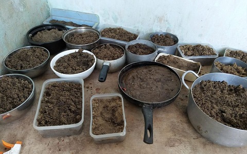 Lôi hết nồi niêu xoong chảo ra trồng rau, mẹ trẻ khiến ai nấy phì cười nhưng không quên cảnh báo cái kết đắng nếu bỏ qua điều này