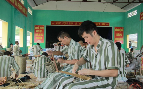 Chính sách có hiệu lực từ tháng 6: Ra tù được vay vốn làm ăn, ngành sư phạm ngừng đào tạo hệ trung cấp