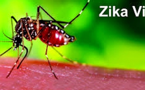 100% gia đình cần được phun hóa chất phòng virus Zika