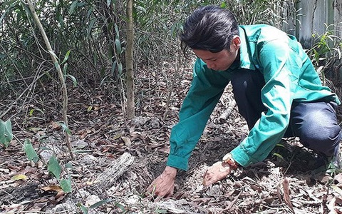 Thi thể thai nhi đang phân hủy được công nhân phát hiện khi phân loại rác tại nhà máy