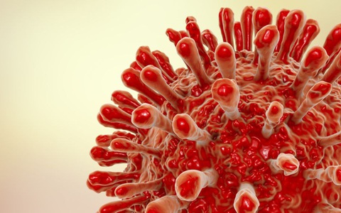 HIV có thể ẩn náu trong các tế bào não, "sẵn sàng" lây nhiễm các cơ quan khác