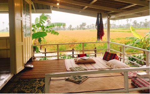 Cuộc sống trong mơ với ngôi nhà cấp 4 có view cánh đồng lúa chín và khu vườn trồng đủ loại rau xanh  