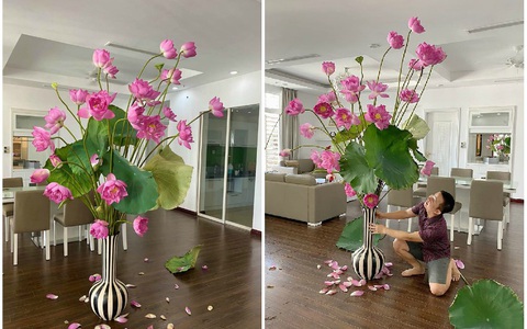 Bình sen "chân dài miên man" chạm trần nhà thu hút 8 nghìn like, ai cũng ngỡ ngàng vì lần đầu thấy cành hoa dài hơn 2m