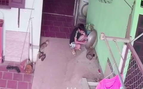 Chăm sóc chim non hơn "trứng mỏng", anh chàng thất thần chỉ vì 1 giây bất cẩn mà cái kết quá "đắng lòng"