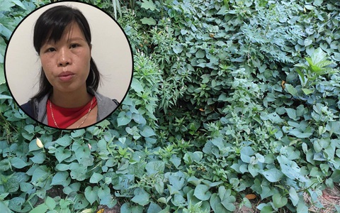 Phẫn nộ lời khai người phụ nữ vứt bỏ con mới đẻ dưới hố ga