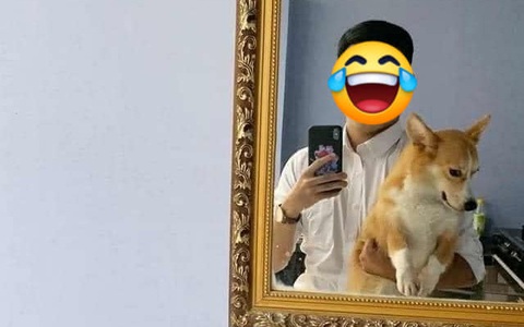 Đi công tác 2 tuần, vừa về đến nhà chàng trai nhận ngay "1 cục bông dỗi hờn", tuy nhiên đối tượng thì lại không phải người yêu
