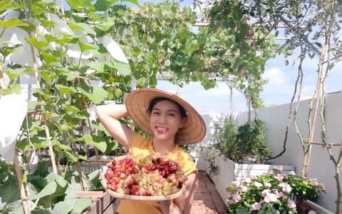 Cô gái trẻ Sài Gòn chia sẻ kinh nghiệm trồng nho trên sân thượng thu hoạch mỏi tay không hết quả