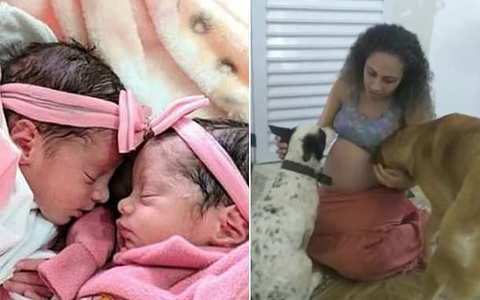 Chú chó ghen tị vì chủ chỉ lo chăm con mà bỏ bê mình nên đã tấn công cặp song sinh 26 ngày tuổi đến mức tử vong
