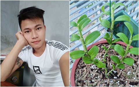 4 năm chơi lan đột biến, chàng trai Vĩnh Phúc có trong tay vườn lan khủng với 30 giống, cho thu nhập 1 tỷ/năm