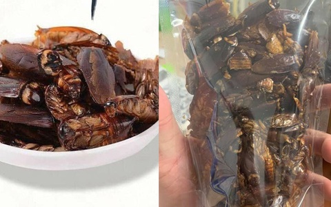 Một cửa hàng online rao bán snack "gián sấy khô" gây ám ảnh, nghĩ đùa thôi nhưng khi vào xem thành phẩm dân mạng tá hỏa chỉ muốn thoát ra