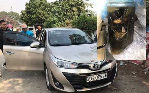 Bị bắt vì đem động vật quý hiếm đi ngâm rượu ở Hà Nội