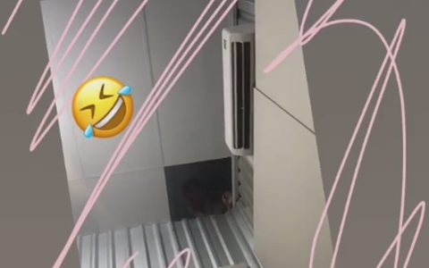 Nhờ thức khuya lướt mạng, cô gái tận mắt thấy tên trộm lật nóc nhà định lẻn vào trong