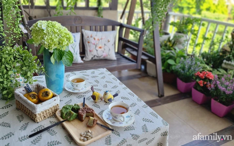 Vườn hoa rực rỡ quanh năm trên sân thượng của mẹ đảm ở Hà Nội dù mỗi ngày chỉ mất 5 - 10 phút chăm sóc