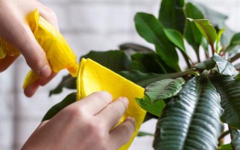 Những chi tiết nhỏ nhưng có thể phá hỏng vẻ đẹp của ngôi nhà mà  bạn cần tránh
