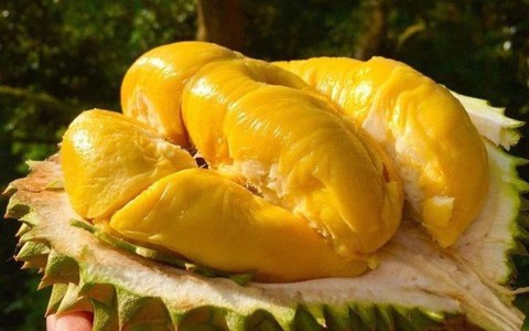 Cơ quan nội tạng của bạn thích nhất và sợ nhất những loại trái cây này, ăn sai cách có thể gây hại cơ thể