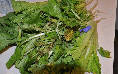 Người phụ nữ được chẩn đoán mắc ung thư gan giai đoạn cuối, bác sĩ nói nguyên nhân từ 1 thói quen khó bỏ khi ăn rau mà rất nhiều người phạm phải