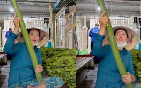 Chuyện lạ có thật: Trái mướp dài hơn 1 mét phải 3 gia đình ăn mới hết khiến ai nấy đều kinh ngạc