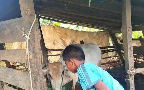 Cách chức hiệu trưởng giữ học bạ của trò nghèo
