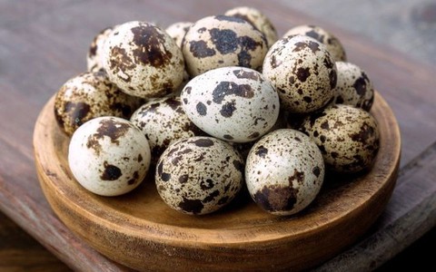 Thực phẩm được mệnh danh là "nhân sâm từ động vật", là bảo bối của đàn ông và dưỡng nhan của phụ nữ