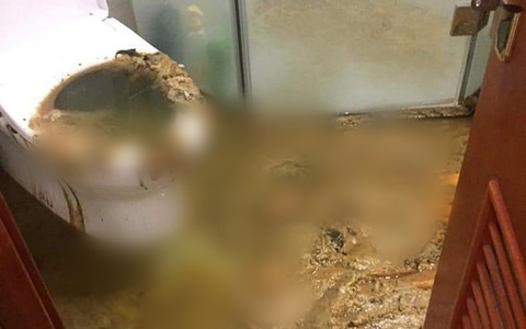 Ác mộng có thật: Căn hộ chung cư cao cấp gặp sự cố bồn cầu "phun như núi lửa", chất thải ngập ngụa tới tận phòng ngủ!