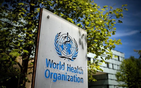 WHO kêu gọi phát triển khẩn cấp vaccine ngừa liên cầu khuẩn nhóm B
