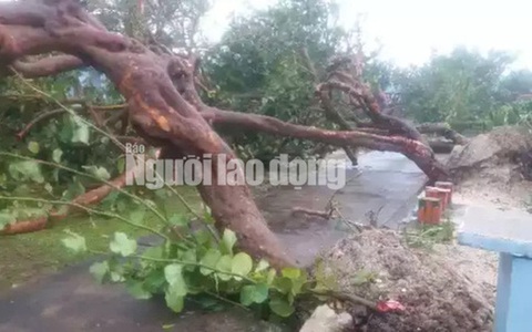 Bão Rai quần phá cây xanh và cơ sở vật chất ở Trường Sa