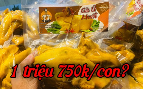 Hoảng hồn gà ủ muối giá 1 triệu 750k/con, nghe qua lý do ai cũng trầm trồ muốn ăn thử 