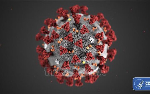 Virus SARS-CoV-2 tồn tại dai dẳng 'hàng tháng' trong cơ thể người
