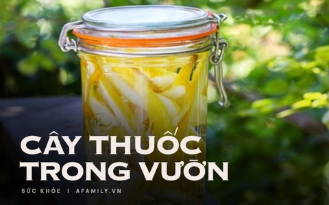 "Bật mí" loại quả để bàn thờ Tết siêu đẹp, thờ xong rồi đem làm thuốc chữa bệnh cũng siêu hay