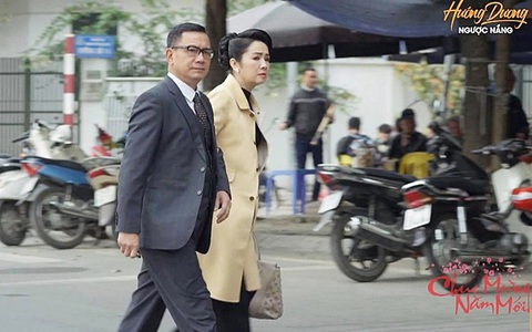 Ông quân bà cúc hướng dương ngược nắng - Đọc báo, tin tức mới nhất 24h qua - Afamily