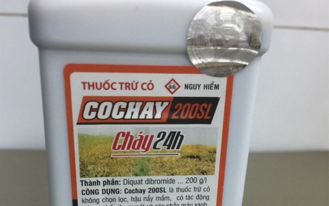 Báo động tình trạng tự tử bằng thuốc diệt cỏ