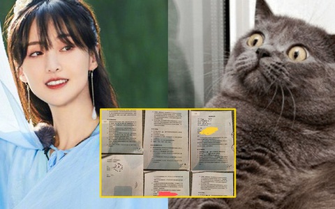 Hết cát-xê trăm tỷ, Trịnh Sảng lại gây sốc với hợp đồng "giật dây" toàn bộ ekip Tân Thiến Nữ U Hồn