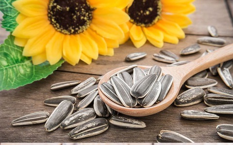 6 món ăn vặt nhiều người yêu thích có chứa chất gây ung thư, nếu ăn thường xuyên bệnh sẽ càng tới nhanh